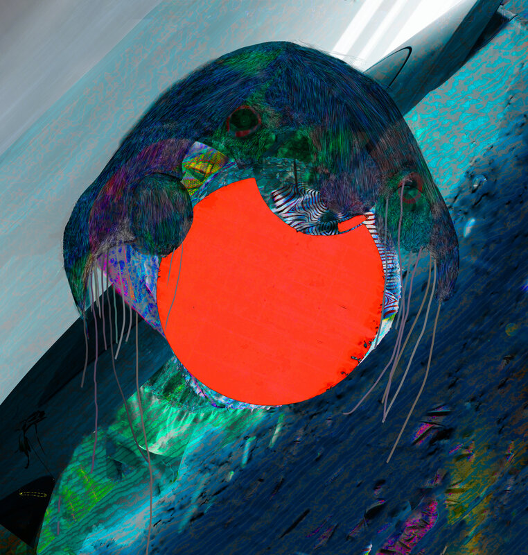 Alex Fischer, Jelly Portrait, 2013